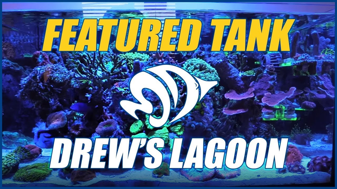 Drew&rsquo;s Lagoon is an AMAZING AIO Nano Reef Aquarium - NEW FEATURED TANK!