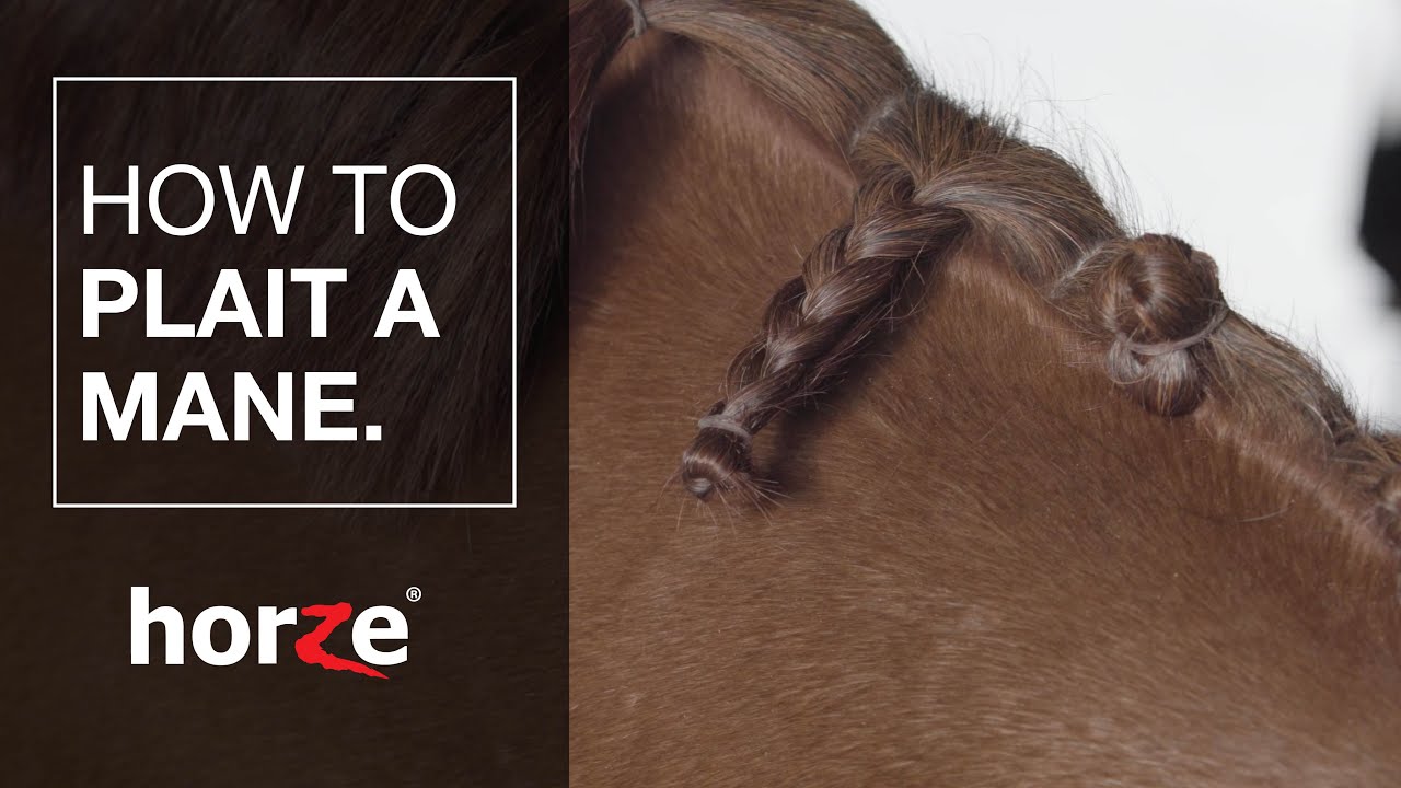 How to plait your horse's mane - Tutorial