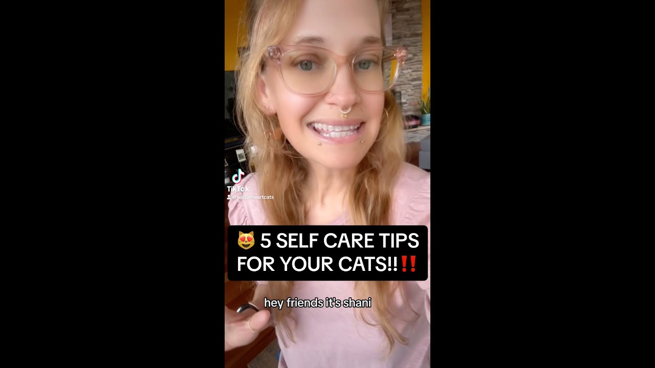 😻 5 Self Care Tips for Your Cats!