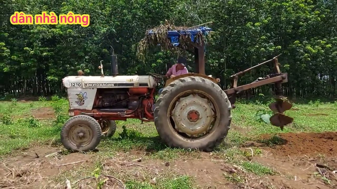 máy cày David Brown 1210 khoan hố cao su  nhìn đã  mắt