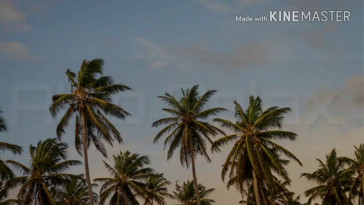 ALGO RELAX - JEYLOCO CON EL JHONSON FT BULLET BLESS // VIDEO CON LETRA