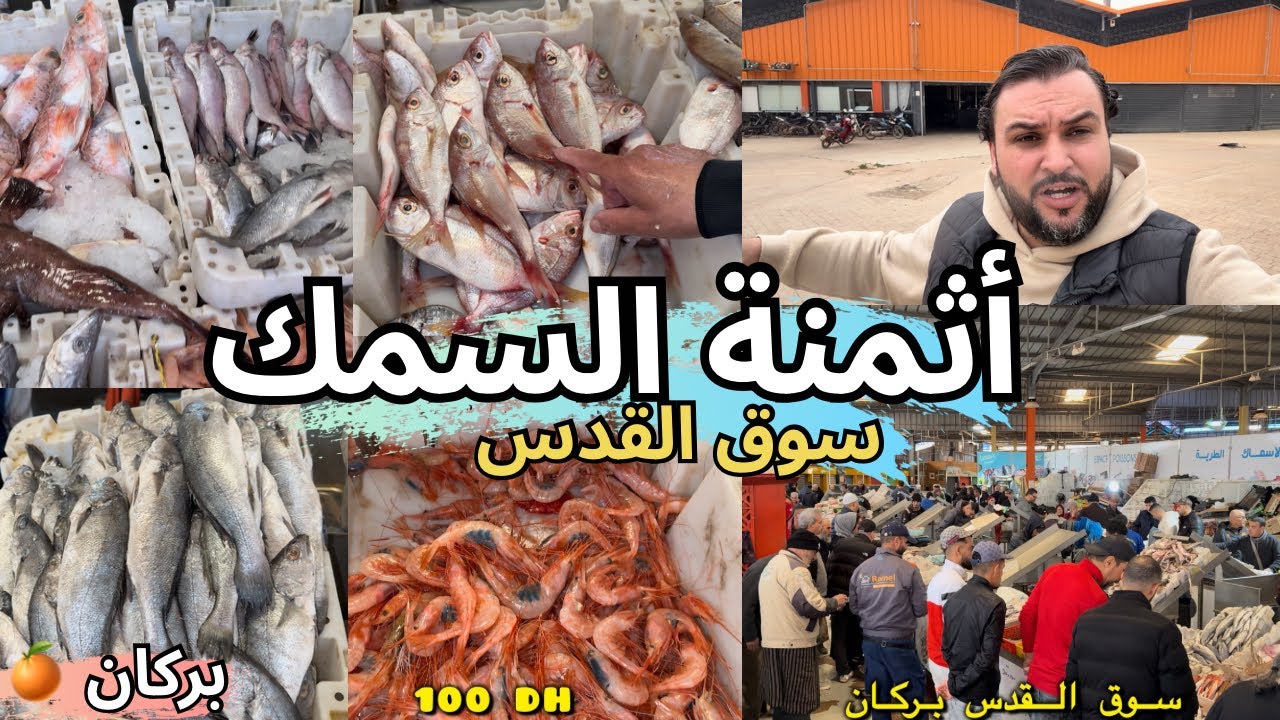أثمنة السمك في مدينة بركان بسوق القدس وسوق فرياض في شهر رمضان 🇲🇦 أنواع متنوعة 👌 