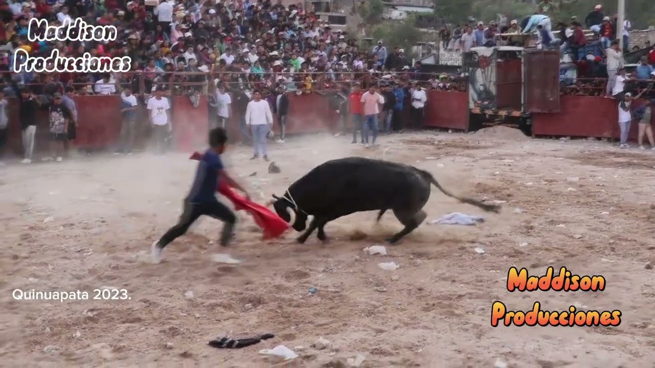 Gran tarde taurina en el barrio de Quinuapata 14 de septiembre 2023 Ayacucho.