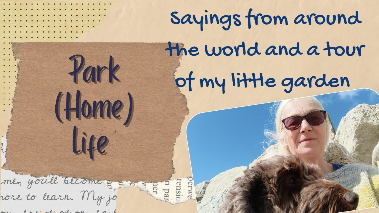 Creating a garden from (nearly) scratch and my favourite sayings