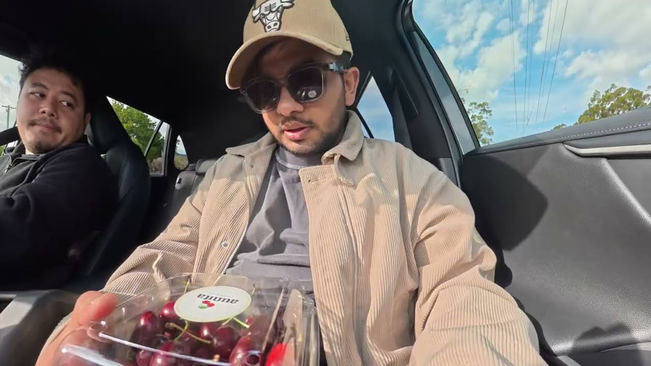 We Went Cherry Picking in Launceston, Tasmania 🍒 (So Fresh!)