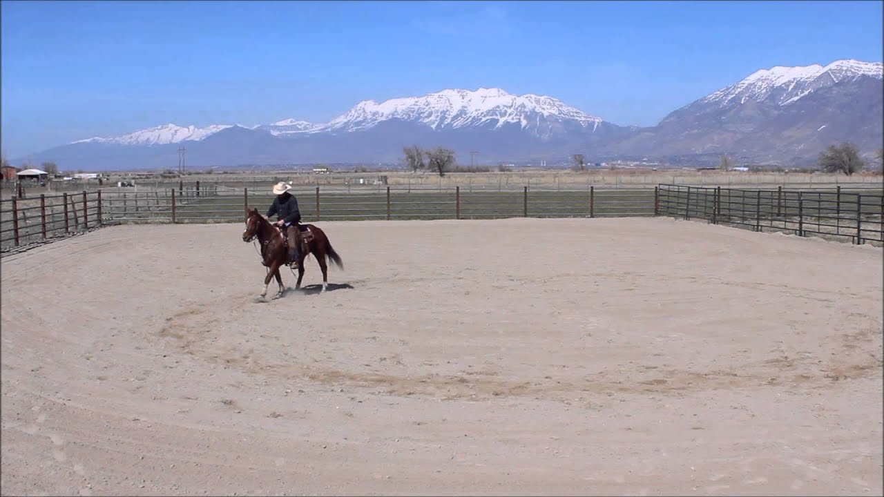 Ranch Sorting Fundamentals - Training Drill 2