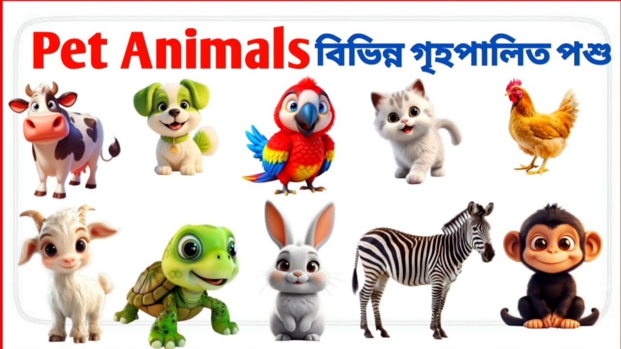 Pet Animals name | গৃহপালিত প্রানীর নাম |Domestic Animals | বাংলা ও ইংরেজিতে | #kidswardi