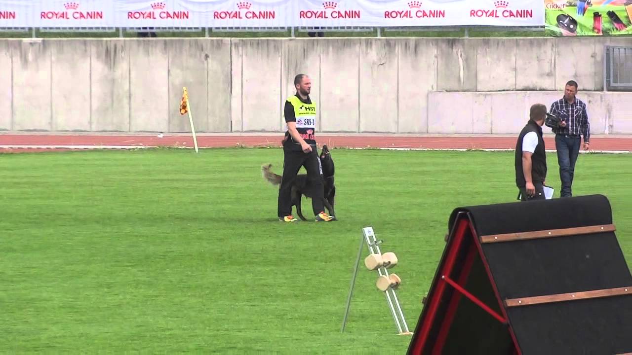 Vladimir Dragićević & Rumba Djoakimo dog, FMBB-2015, part B