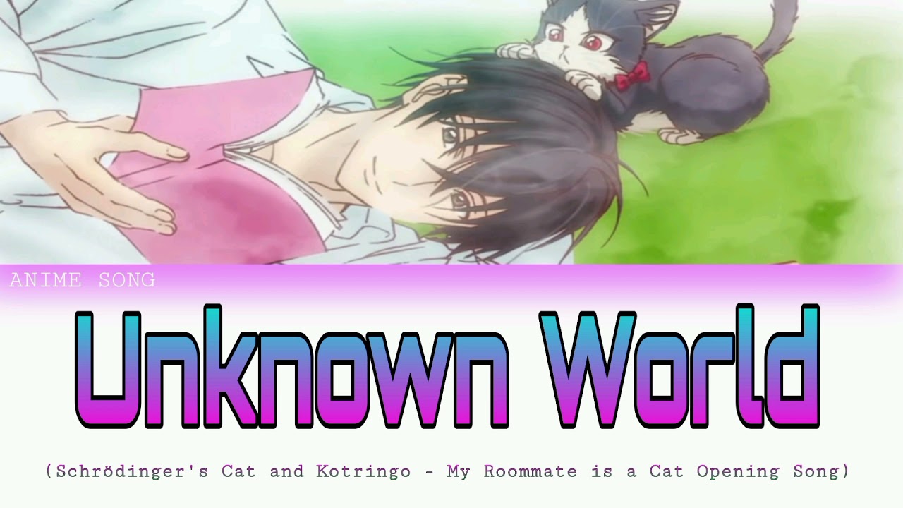 My Roommate is a Cat OP | Unknown World | Schrodinger's Cat and Kotringo
