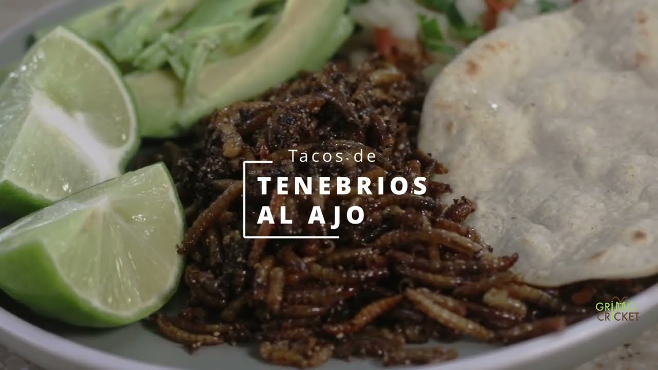 TACOS de TENEBRIOS al AJO