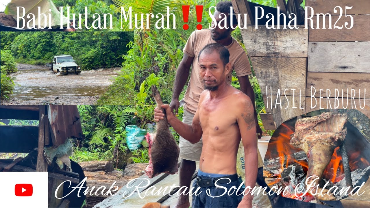 Sungai Banjir Kereta Tak Dapat Limpas//Orang Kampung Jual Babi Hutan Murah Sekali//
