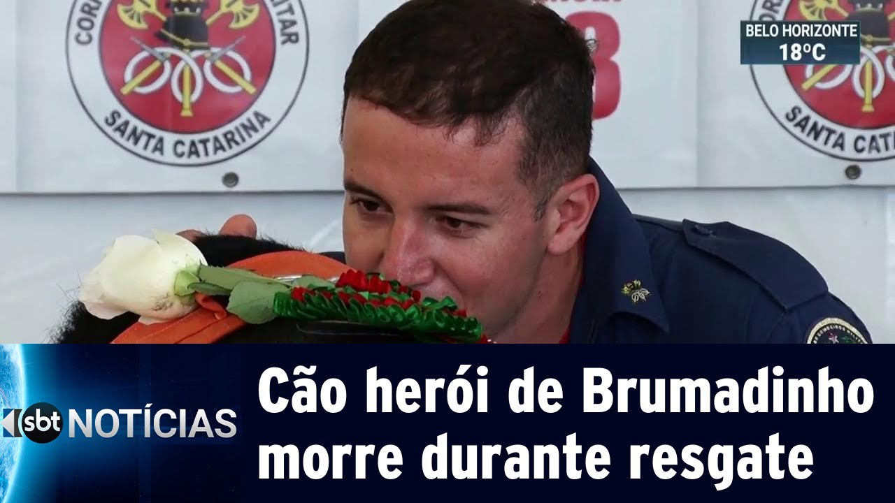 Cão herói de Brumadinho, que morreu durante novo resgate, é enterrado | SBT Notícias (07/05/19)