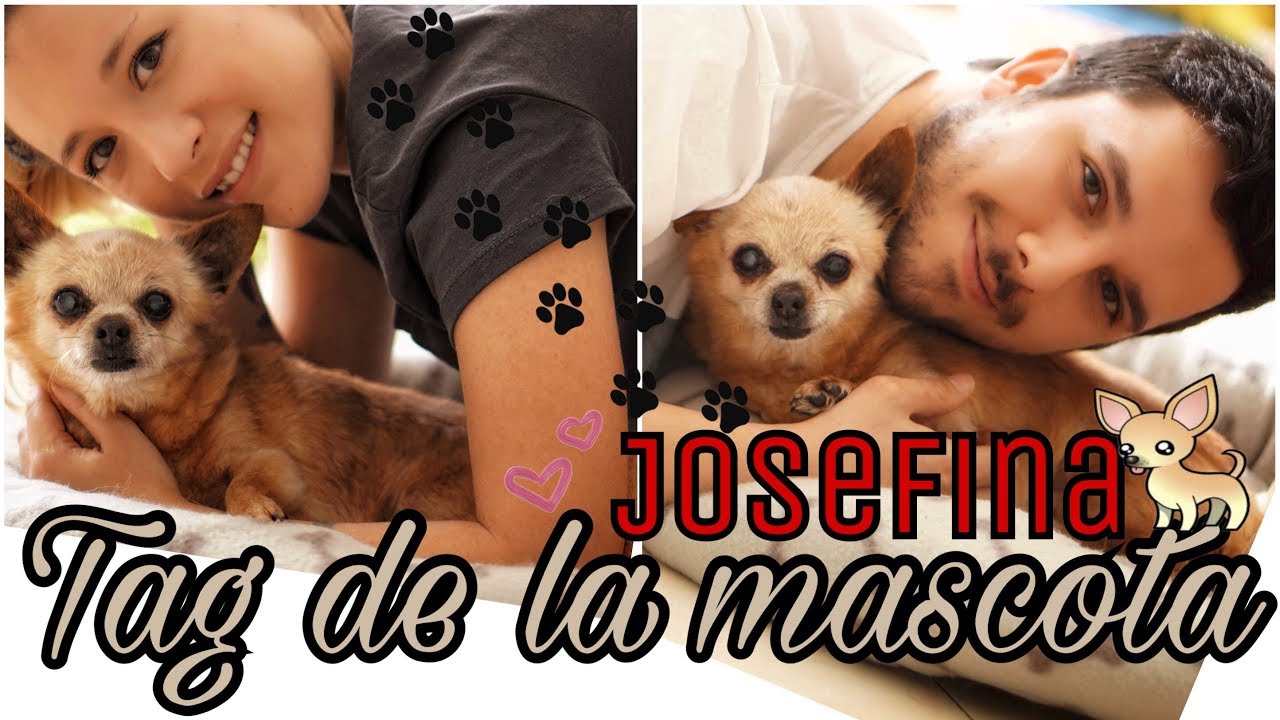 Tag de la mascota  - Josefina