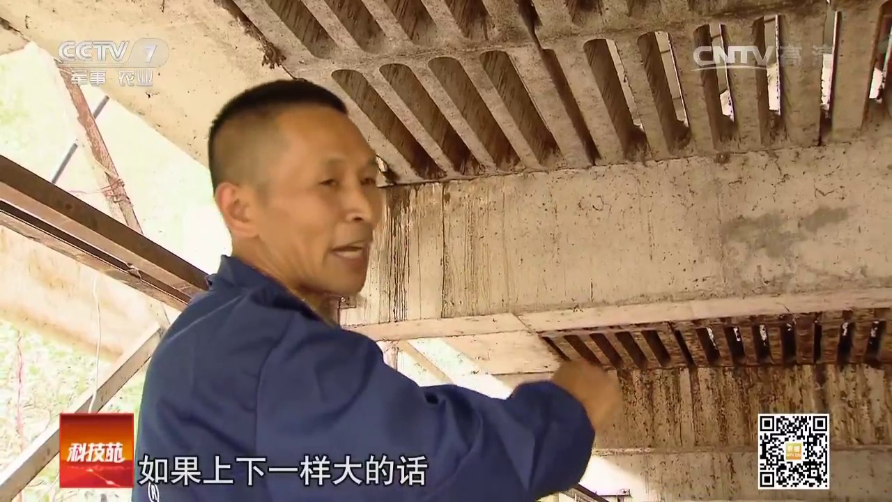 20161123 科技苑  为什么让猪住上铺