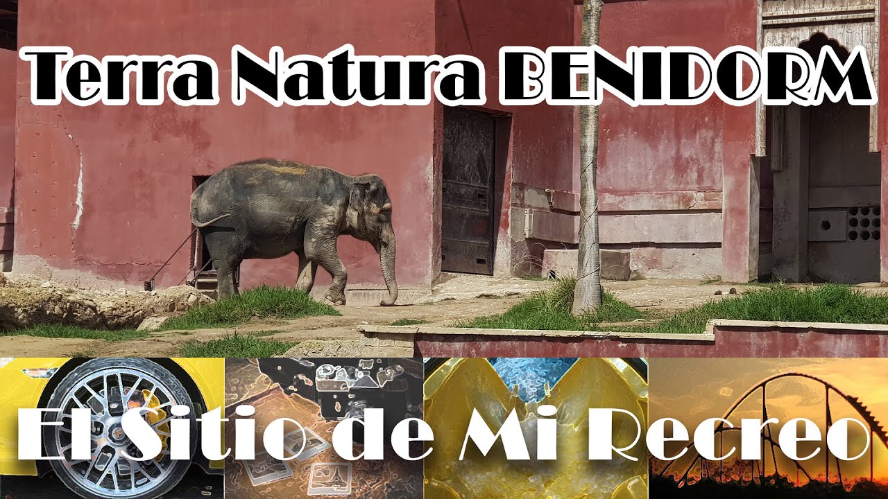 Terra Natura Benidorm, te lo contamos todo
