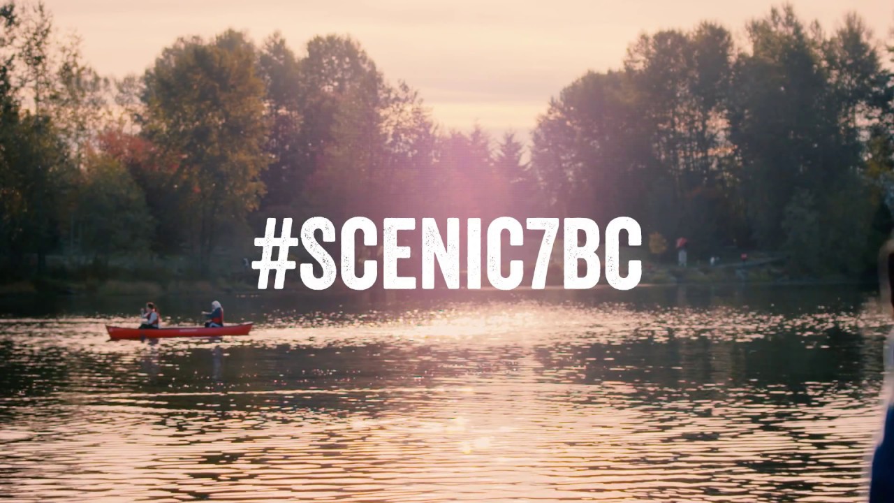 🌲 The Scenic Highway 7