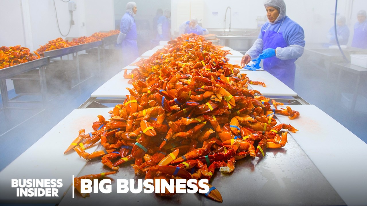 Why Maine's $1 Billion Lobster Industry Could Be At Risk | Big Business | Business Insider