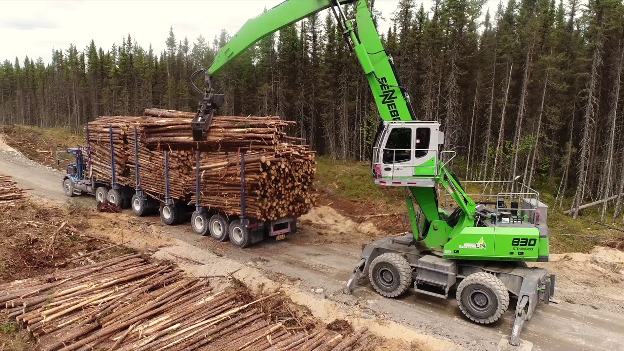Conducteur ou Conductrice de camion sur chemin forestier - Résolu, c'est ta place [Version Longue]