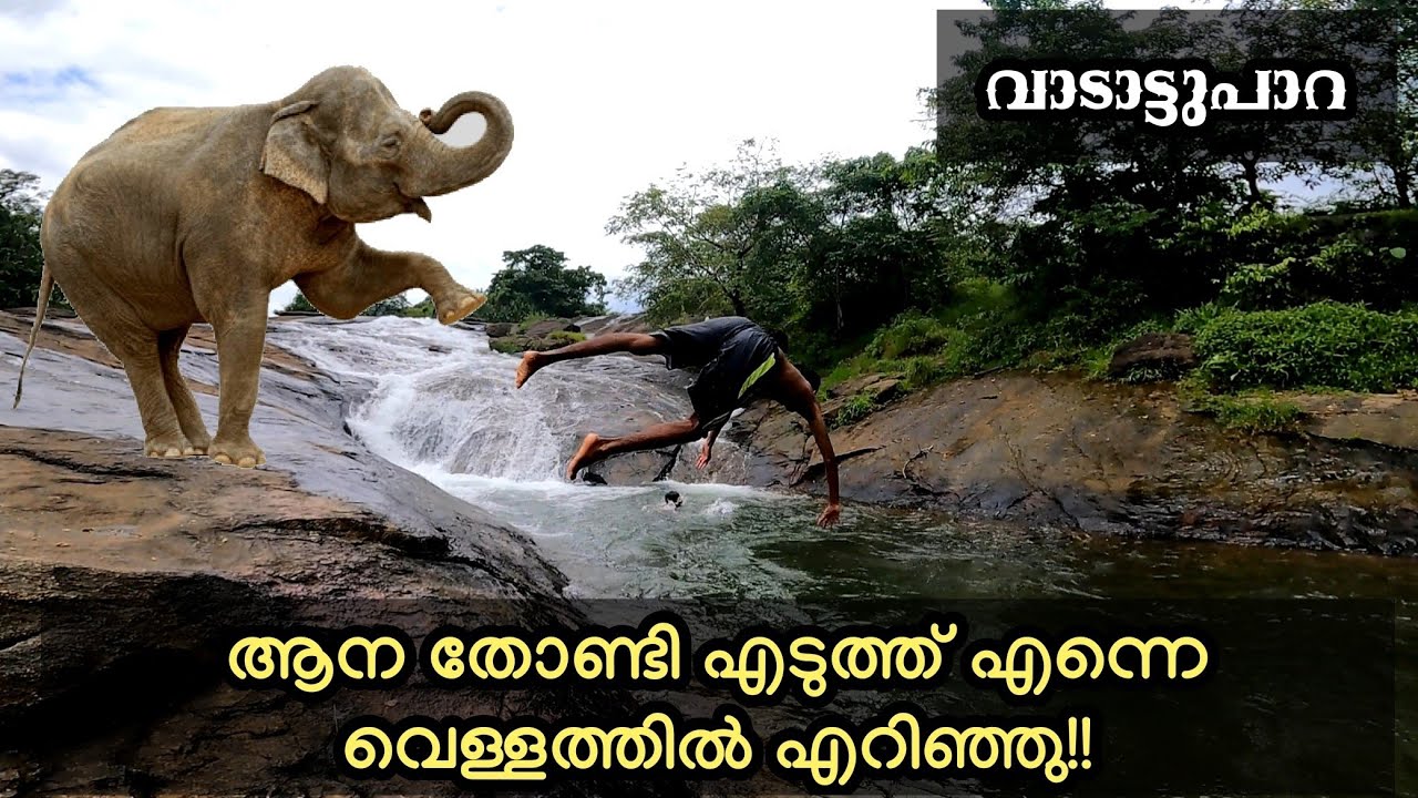 വാടാട്ടുപാറ കാഴ്ചകൾ| Vadattupara waterfall| Idamalayar Dam| Vadattupara forest| Kothamangalam