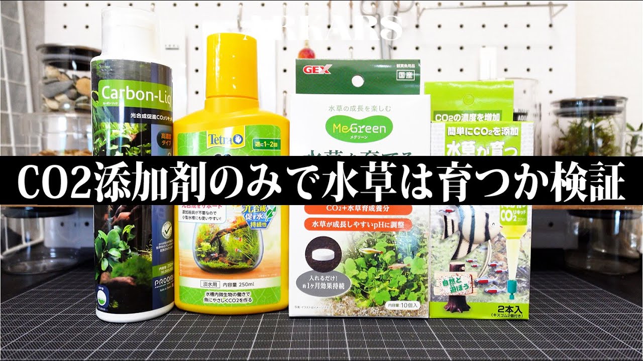 ARKARS_036「CO2添加剤のみで水草は育つか検証」