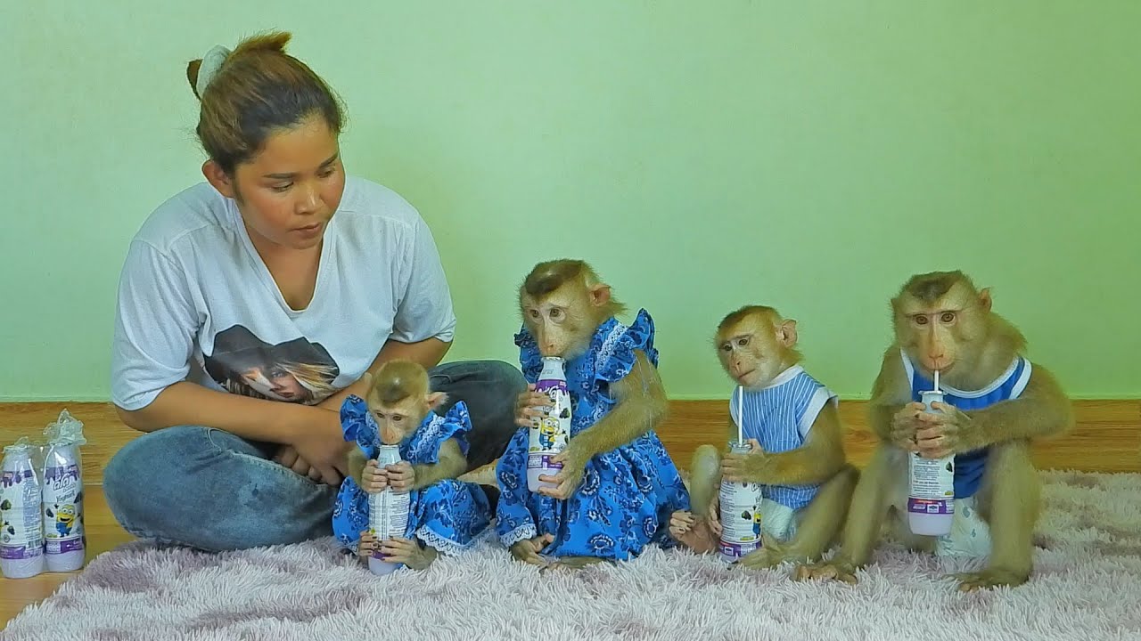 Smart Kako Luna Olly And Lisa Drinking Fruit Juice