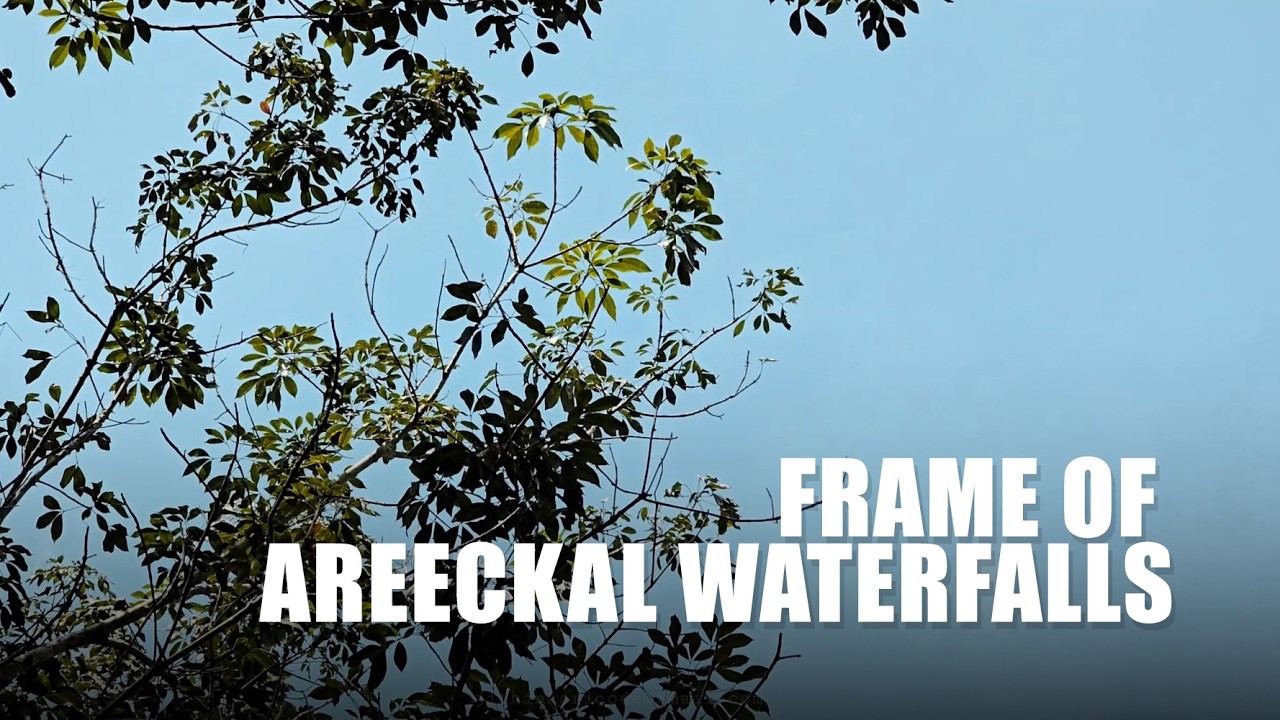 FRAME OF AREECKAL WATERFALLS