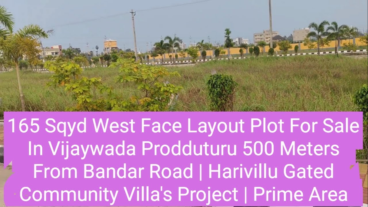 165 Sqyd West Face Layout Plot For Sale In Vijaywada Prodduturu 500 Meters Bandar Road In Harivillu