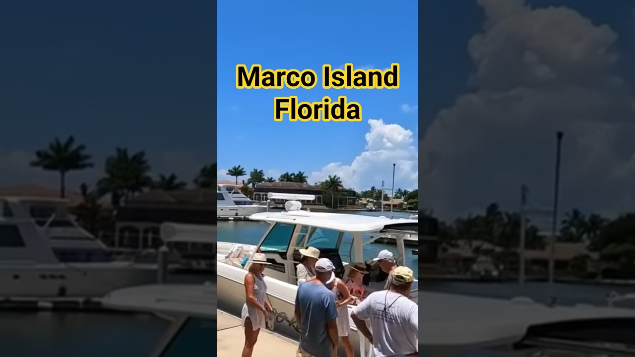 This Is Why We Love This Marco Island Florida Marina! #shorts #florida #marcoisland