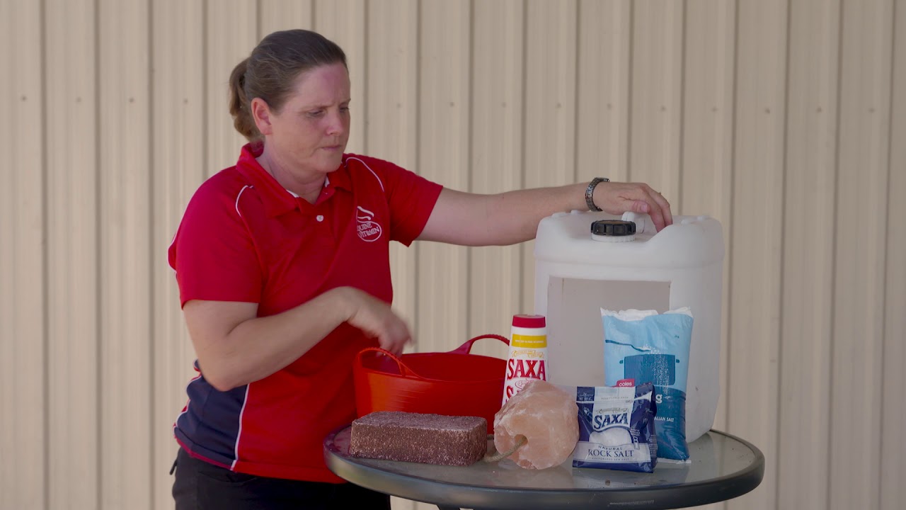 ADDING SALT TO THE HORSE'S DIET