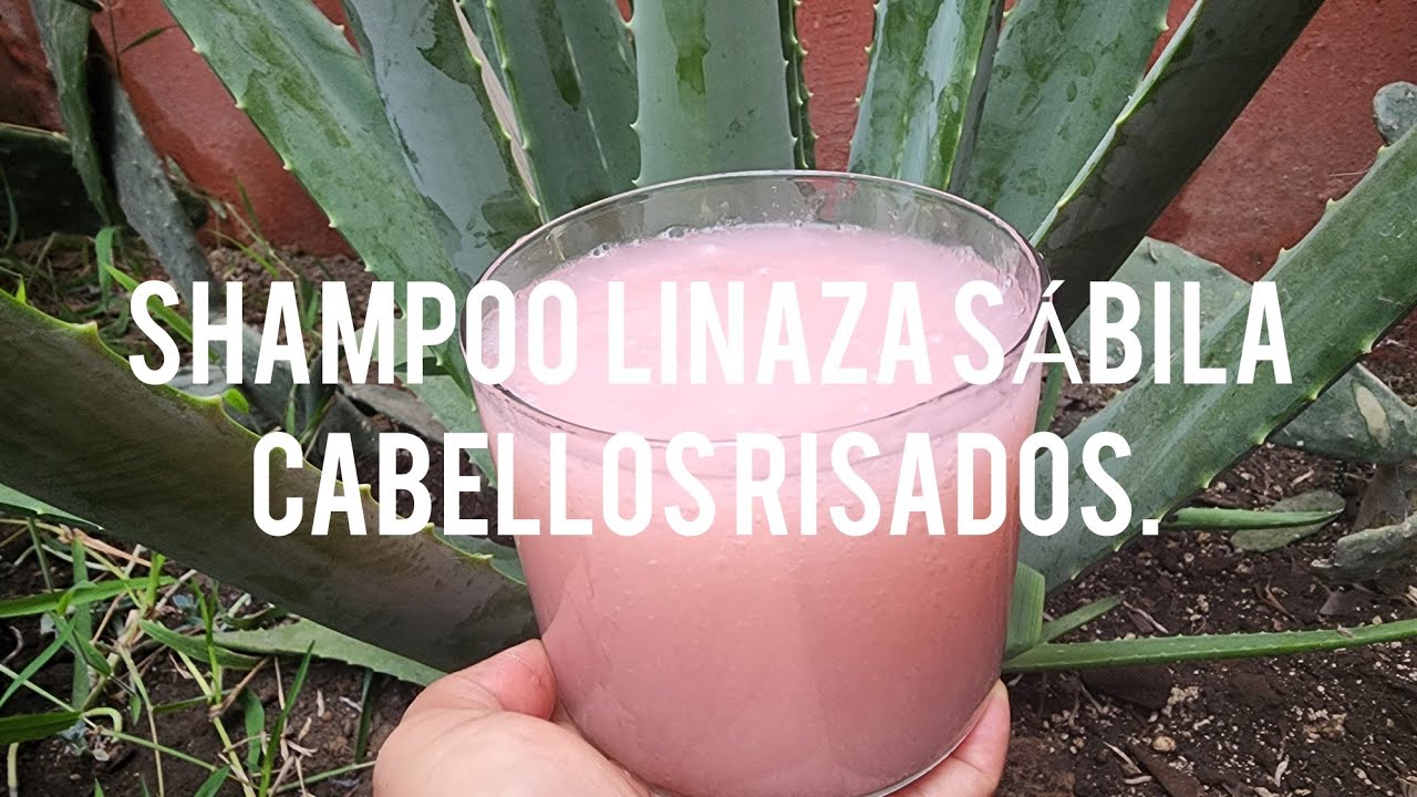 AHAMPOO SÁBILA LINAZA. PARA CABELLOS RIZADOS.