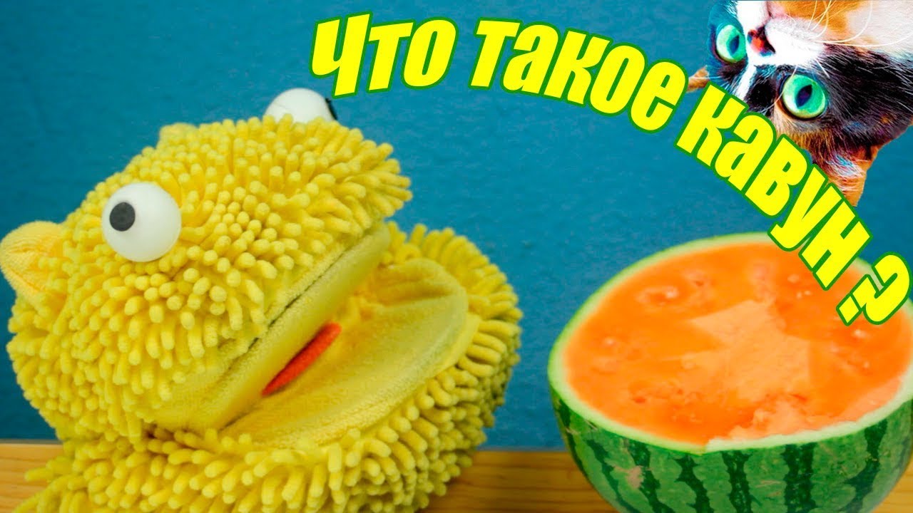 Что такое кавун?