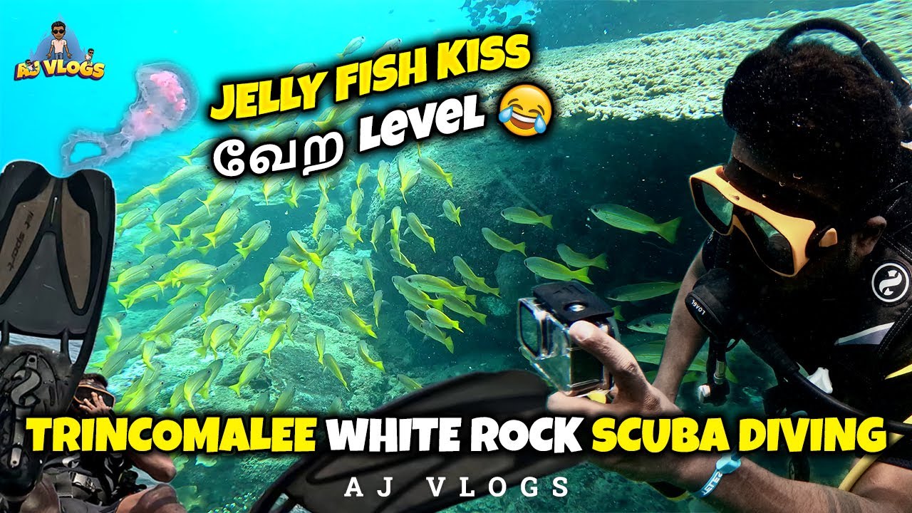 Kissing Jellyfish🐠? White Rock Scuba🌊 Diving Adventure | #ajvlogs