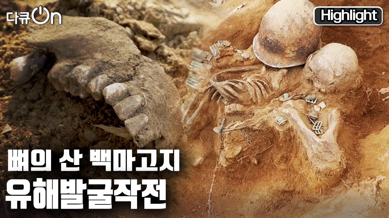 백마고지 승전 70주년.. 비무장지대에 잠들어 있는 전우를 모두 다 찾을 때까지 작전은 계속된다 | 뼈의 산, 백마고지 유해발굴작전 | KBS 20221016 방송