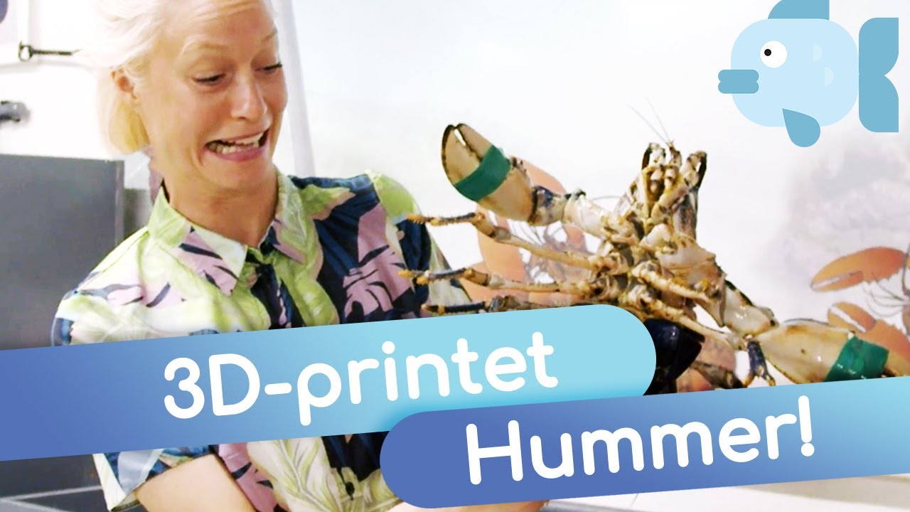 Kan vi blive ved med at spise hummere i fremtiden? I  Fremtidsmad  I  MadMagi