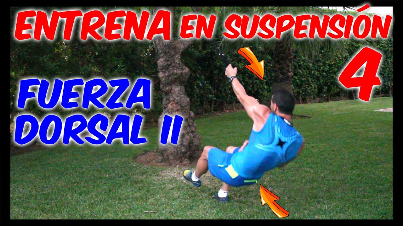 Entrenamiento en Suspension 4 - Remo dorsal (2)