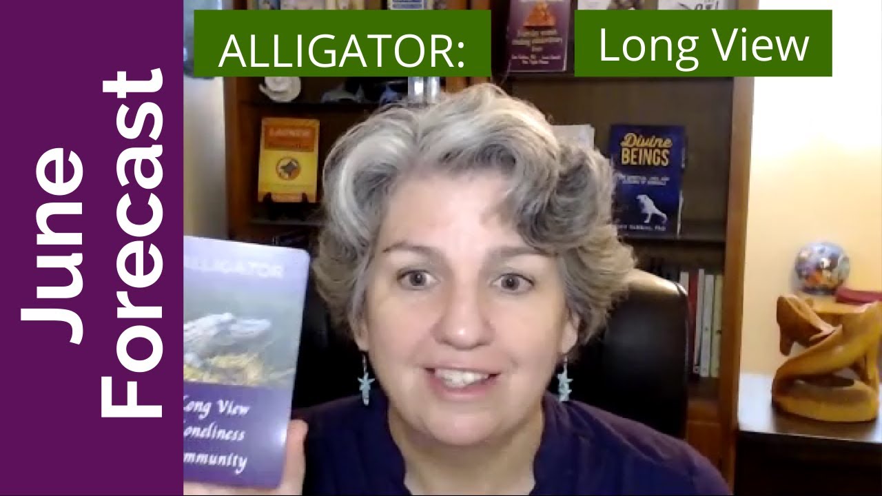 June Forecast with Animal Wisdom Oracle Cards Alligator 