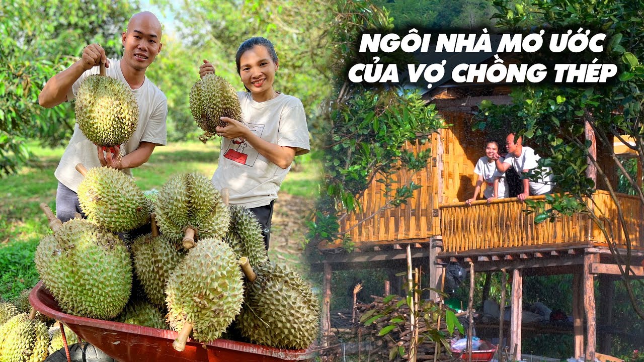 VỢ CHỒNG THÉP THU HOẠCH SẦU RIÊNG , NGÔI NHÀ THỨ HAI VỢ CHỒNG THÉP