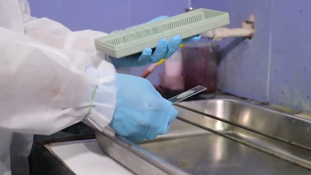 FM Staining Process