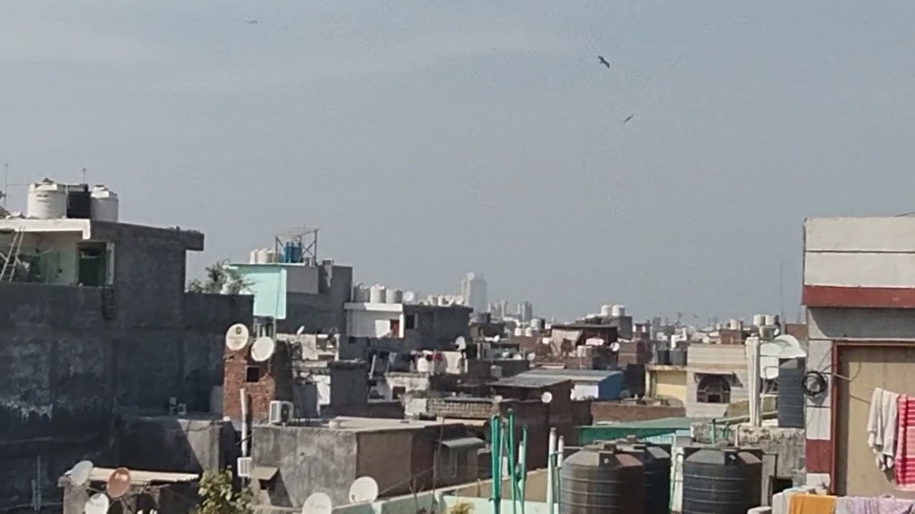 Talim ustad kaku maujuda ustad Sachine dikkat imran Khalifa Bilal ka shok Okhla 12/2/2026 #kabootar 