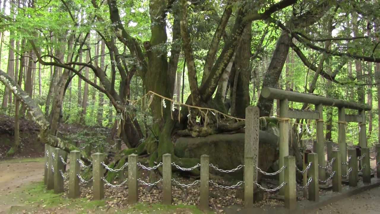 JAL JAPAN PROJECT, Kyoto Amanohashidate【京都 天橋立・籠神社奥宮 真名井神社】