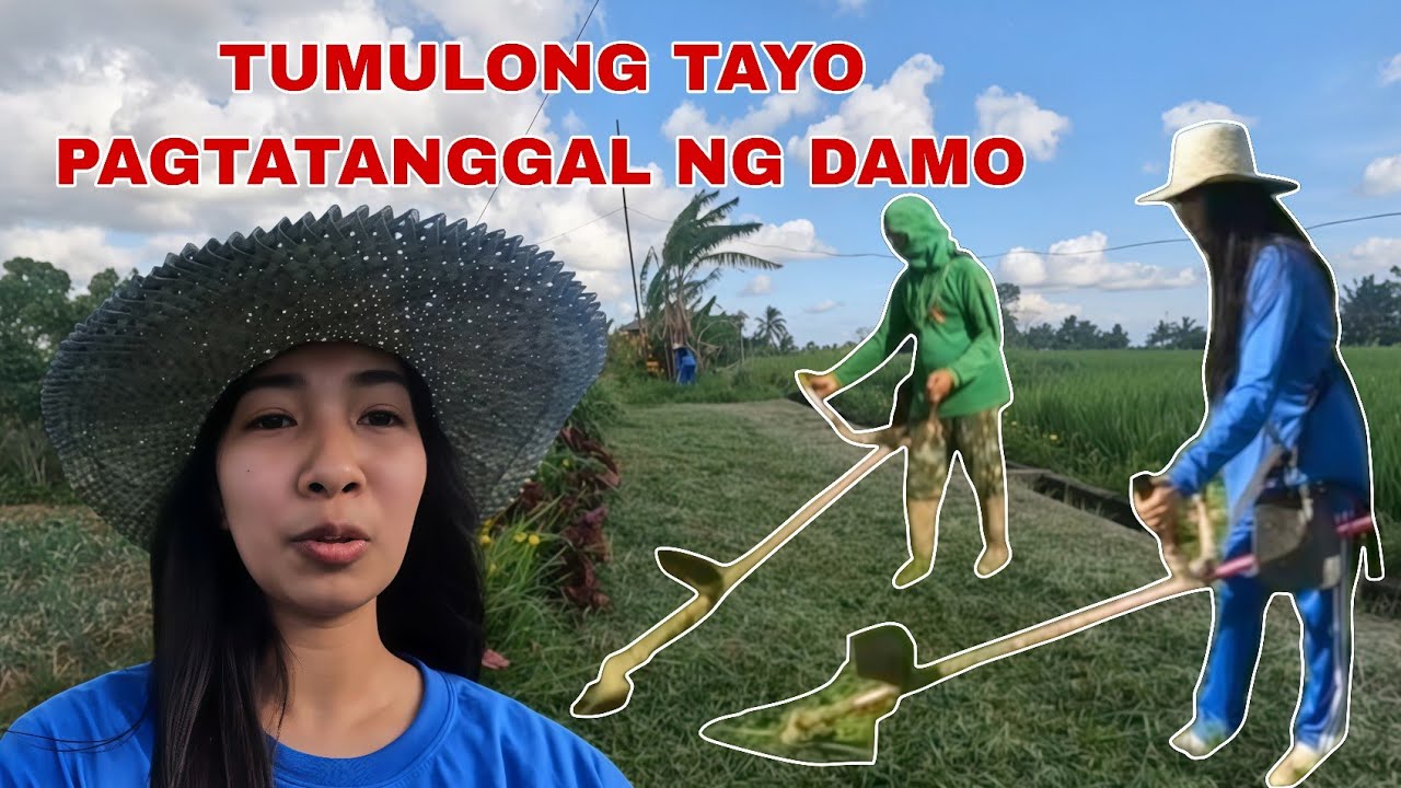 Tumulong tayo kay kuya ka bestfriend na magtanggal ng damo sa bukid