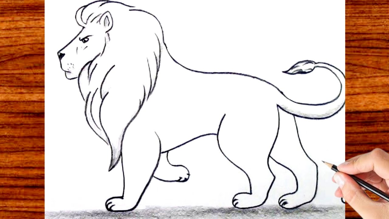 How to Draw a Lion | Step by Step Easy and Realistic Lion Drawing