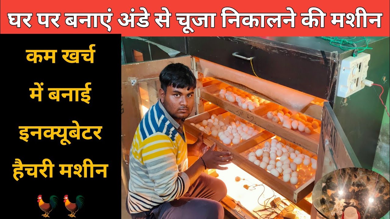 How to make incubator and hatching machine at home || किसान ने घर पर बनाई इनक्यूबेटर और हैचिंग मशीन