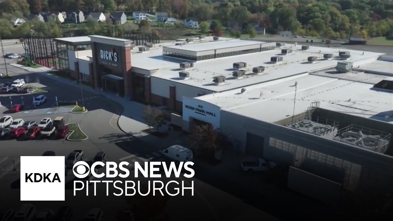 Why Ross Park Mall is thriving while other malls are dying