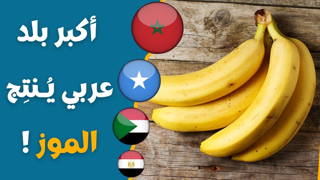 أكبر 10 بلدان عربية من حيث إنتاج الموز في 2025