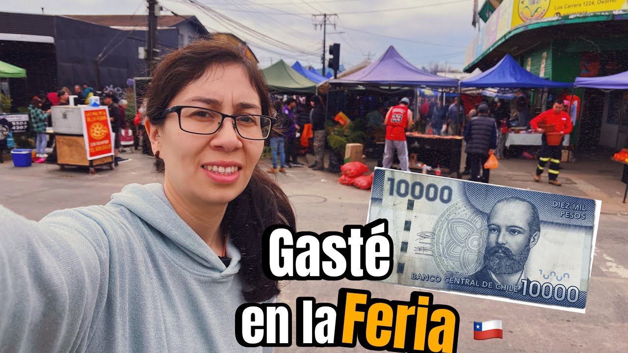 FUÍ DE COMPRAS A UNA FERIA CHILENA 🇨🇱CON 10 MIL PESOS 🤑/ Feria Pedro Aguirre Cerda