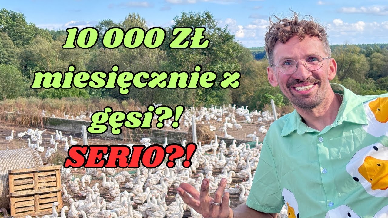 ILE TRZEBA MIEĆ GĘSI, ŻEBY ZAROBIĆ 10 000 ZŁ MIESIĘCZNIE ❤️💪🤩