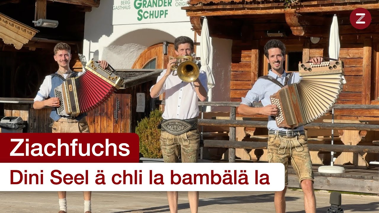 Dini Seel ä chli la Bambälä la - Steirische Harmonika