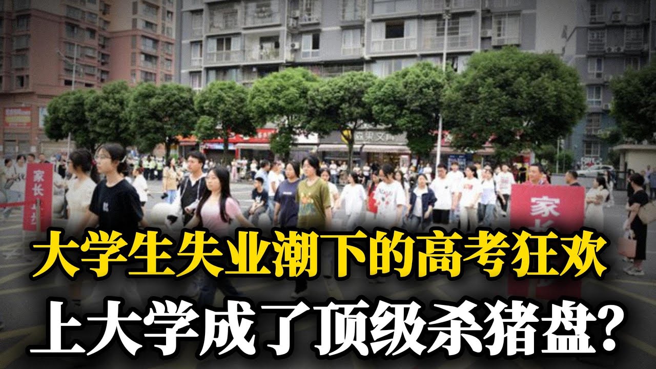 大学生失业潮下的高考狂欢！北大毕业生当抄表工人，上大学成了顶级杀猪盘？拼了12年，只为&ldquo;毕业即失业&rdquo;吗？｜就业难｜中国经济｜失业率｜造假｜韭菜｜侃见｜
