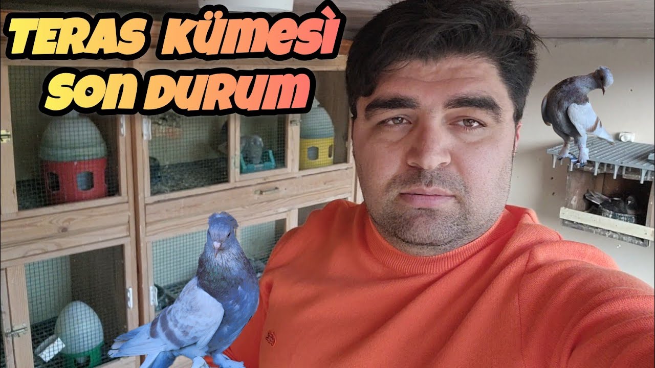 Terasdaki Kuşlarımız Yumurtlamiş Yavru Bile Cıkmiş